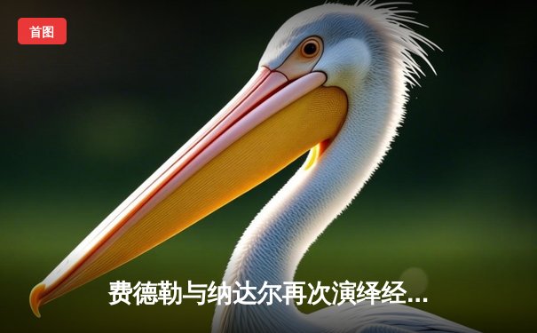 费德勒与纳达尔再次演绎经典对决，两位传奇联手奉献史诗级表演赛